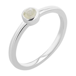 Minimalistischer Ring mit einem Salt and Pepper Diamanten Emilien - Eppi