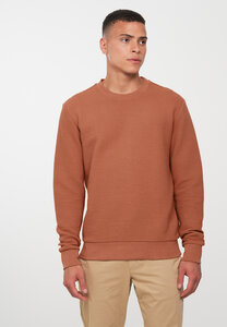 Herren Sweatshirt aus Bio-Baumwolle | SMILAX recolution - recolution