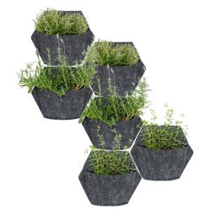 6er-Pack Wand-Blumentopf mit Textilbezug und automatische Bewässerung - CitySens