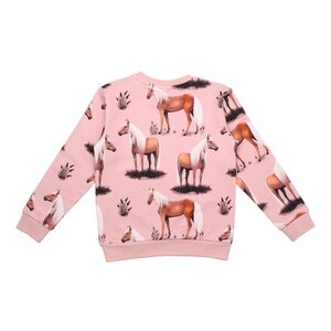 Pullover-Sweatshirt aus Baumwolle (Bio) - Walkiddy