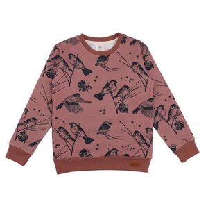Pullover-Sweatshirt aus Baumwolle (Bio) - Walkiddy