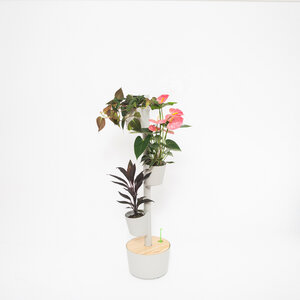Vertikaler Blumentopf mit manueller Bewässerung; 3 Blumentöpfe - CitySens