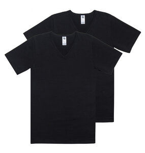 Herren Basic Shirt V-Ausschnitt Jersey 2er Pack Baumwolle/Elasthan - Haasis Bodywear