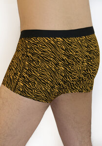 5er Pack Herren Trunk Shorts 2  Farben Bio-Baumwolle Pants zebra - Albero Natur