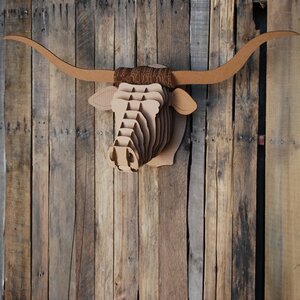 Longhorn "Tex" - Cardboard Safari