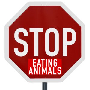 Stop eating animals - 10 Sticker - Team Vegan