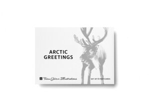 Teemu Järvi Arctic Greetings Postkarten Set - Teemu Järvi Illustrations