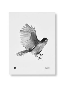 Teemu Järvi - Kunstdruck - Poster - 40x30cm - Tierbilder - Teemu Järvi Illustrations