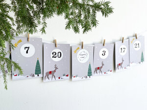 RUBBEL Adventskalender, zum Rubbeln, Weihnachten Reh Tannenbaum, Bastelset 97 Teile | Gutschein-Kalender im Nordic Stil - renna deluxe