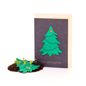 Nachhaltige Weihnachtskarte zum Einpflanzen mit Tannenbaum-Motiv inkl. Umschlag | Grußkarte Weihnachten mit Saatgut | Klappkarte mit Aufschrift Frohe Weihnachten - Die Stadtgärtner