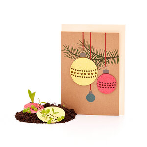 Nachhaltige Weihnachtskarte zum Einpflanzen mit Christbaumkugel-Motiv inkl. Umschlag | Grußkarte Weihnachten mit Saatgut | Weihnachtsgrußkarte zum Verschenken | Weihnachtliche Klappkarte - Die Stadtgärtner