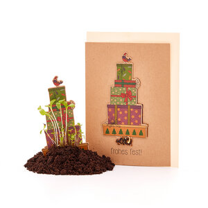 Nachhaltige Weihnachtskarte zum Einpflanzen mit Geschenk-Motiv inkl. Umschlag | Grußkarte Weihnachten mit Saatgut | Weihnachtsgrußkarte zum Verschenken | Klappkarte mit Aufschrift Frohes Fest - Die Stadtgärtner