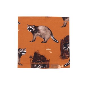 Curious Raccoons - Braun - Schal - Walkiddy
