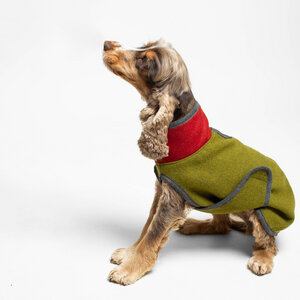 Hundemantel "Loden" | 100% Schurwolle - nahtur-design