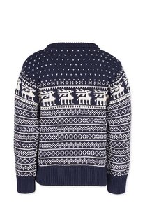 Reindeer Pullover - Band of Rascals