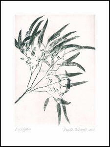 Pernille Folcarelli - limitierte Kunstdrucke - 50x70cm - Abdrücke echter Pflanzen - Pernille Folcarelli