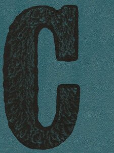 Kunstdrucke - dekorative Buchstaben - in verschiedenen Größen - Pernille Folcarelli