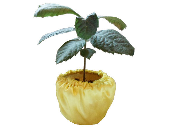 Leesha Blumentopf aus Stoff Different Plants, Upcycling von Leesha