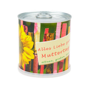 Muttertags Blumengrüße - Dosenblume mit Sonnenblume - MacFlowers