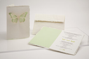 Briefkarte Schmetterling - Formes