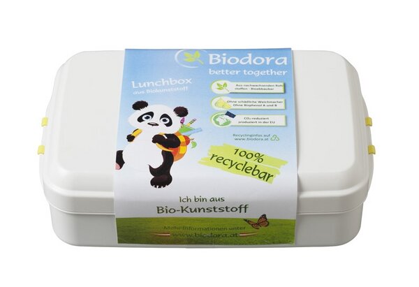 Sass & Belle Brotdose Mit Eulen-Motiv – 12x12x5 Cm, BPA-frei, Spülmaschinenfest (Deckel Nicht), Für Schule & Büro